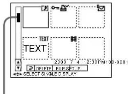 SONY MVCCD1000 - Lecture simultanée de six images (INDEX) - 2