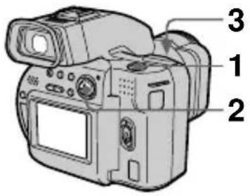 SONY MVCCD1000 - Enregistrement d'images non compressées (TIFF) - 1