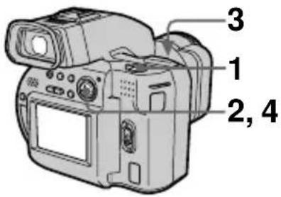 SONY MVCCD1000 - Agrandissement d'une partie d'une image fixe (zoom et cadrage) - 1