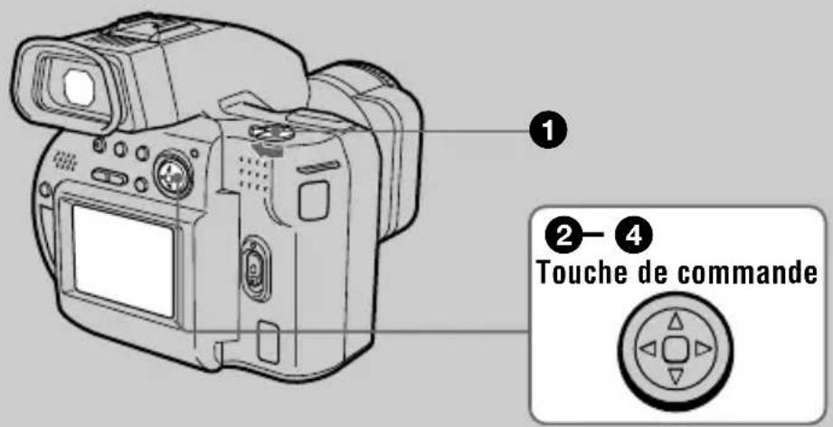 SONY MVCCD1000 - Lecture d'images animées - 1