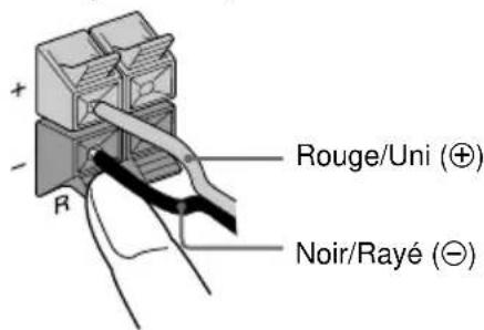 SONY LBTXG60 - Raccordez les haut-parleurs. - 1