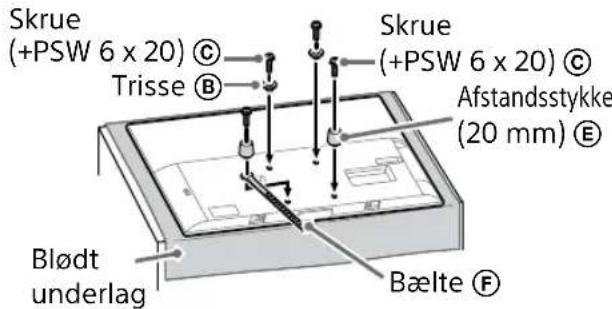 SONY Bravia KD65XG8196 - Bemaerk - 2