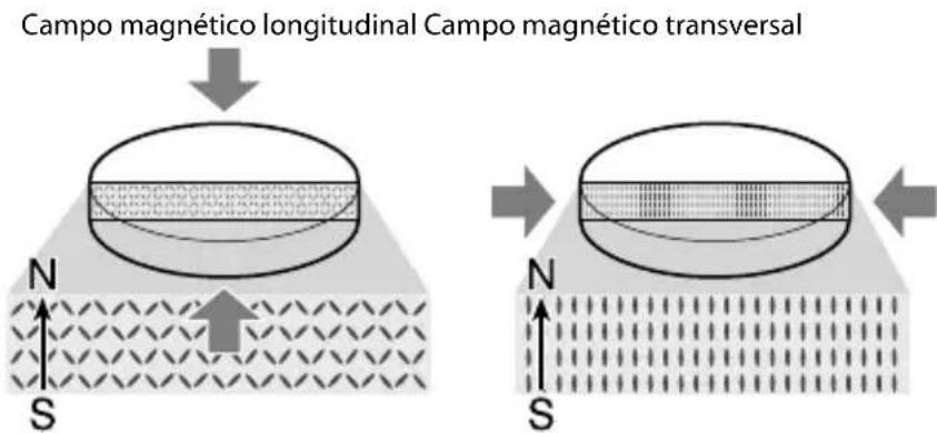 SONY MDREX1000 - Mayor densidad de flujo y gran sensibilitidad de reproduccion: Imanes de neodimio de alta potencia de 440kJ / m^3 - 1