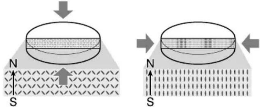 SONY MDREX1000 - Aimants au néodyme ultra-puissants de 440 kJ/m³ - 1