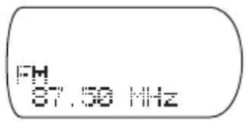 SONY DNS921F - Naar de radio luisteren - 1