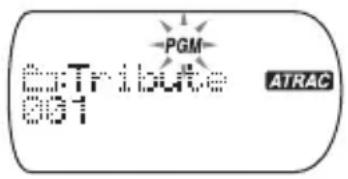 SONY DNS921F - Lecture des plages dans l'ordre de votre choix (lecture PGM) - 2