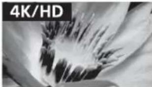 SONY Bravia KD43XE7077 - Qualità dell'imagine - 2