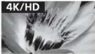 SONY Bravia KD43XE7077 - Bildqualität - 2