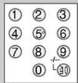 PANASONIC SAHR45EG - DVD-Player - 14