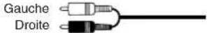PANASONIC SAHR45EG - Câble coaxial - 1