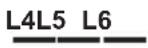 GORENJE WHT643E4XBG - T1T2T3T4T5T6T7T8T9 - 6