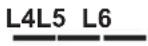 GORENJE IHT943A2XBG - T1T2T3T4T5T6T7T8T9 - 6