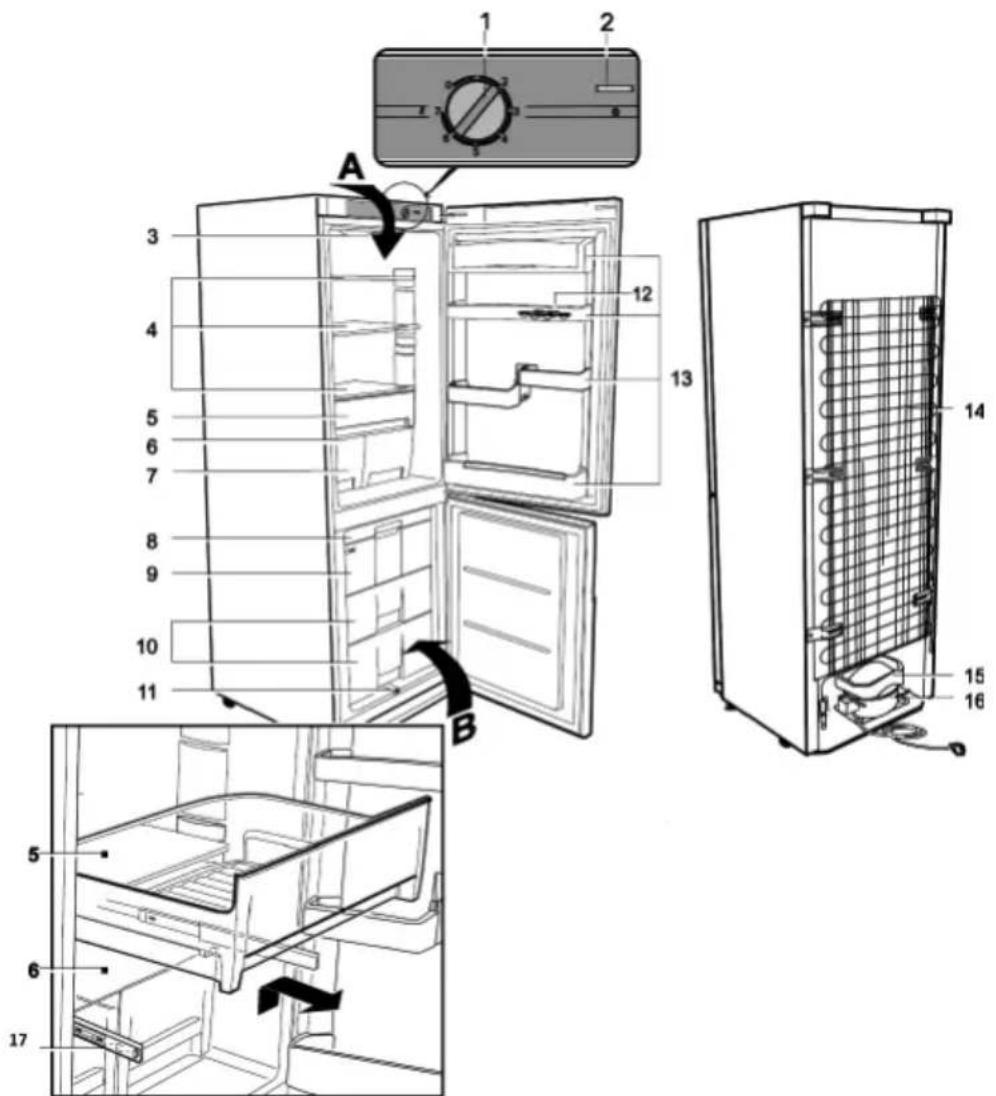 SEVERIN KS 9876 - Descripción - 1