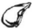 SEVERIN FR 2460 - Friture - 5