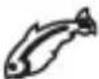 SEVERIN FR 2460 - Friture - 8