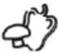 SEVERIN FR 2460 - Luftfriture anbefalinger - 7