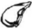 SEVERIN FR 2460 - Deep-frying - 5