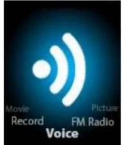 OK OAP 30408 - Voice - 1