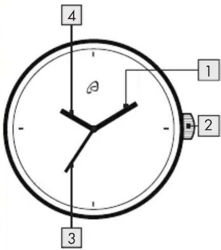 AURIOL IAN 289165 - 3