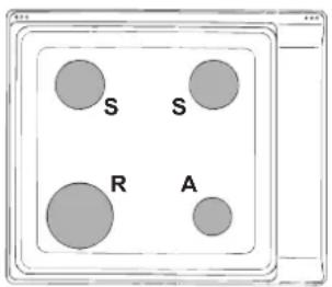 INDESIT PIM 640 AS (BK) - Caratteristiche dei bruciatori ed ugelli - 1