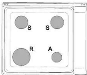 INDESIT PIM 640 A (IX) - 1 - 2