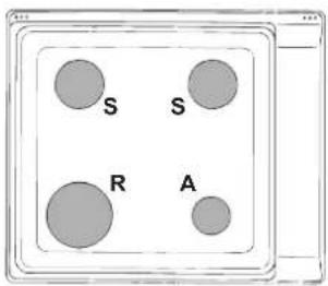 INDESIT PIM 640 A (IX) - Caratteristiche dei brucatori ed ugelli - 1