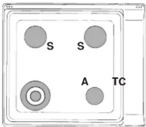 INDESIT P 640 A (BK) - Características dos queimadores e dos injectores - 2