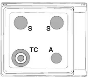 INDESIT P 640 A (BK) - Merkmale der Brenner und Düsen - 3