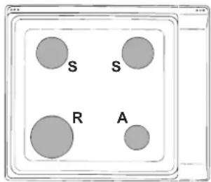 INDESIT PIM 640 A (BK) - Caractéristiques des brûleurs et des injecteurs - 1