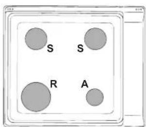 INDESIT PIM 640 A (BK) - Unicamente para aquellos aparatos con dispositivos de seguridad contra fugas de gas. - 1