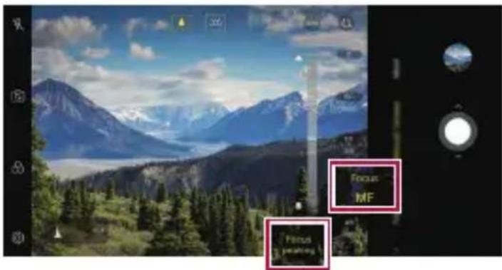 LG LMV405EBW - Focus peaking - 2