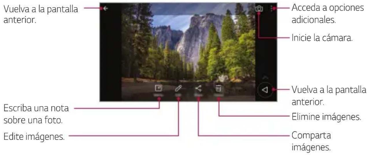 LG LMX210EM - Visualización deotos - 1