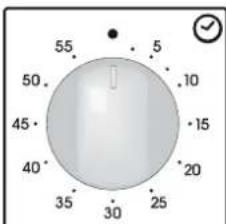 CANDY FCP502N - INCNOJIb3OBAHNE TAIMEPA - 1