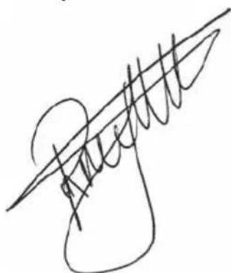 BESTRON DLD404 - Neyman - 1