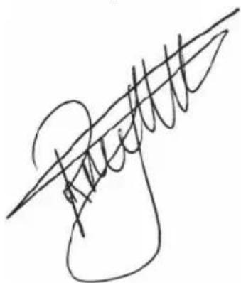 BESTRON DLD404 - Neyman - 1