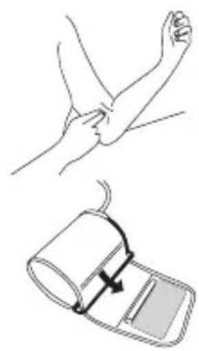 TOPCOM BPM ARM 3301 - Applying the cuff - 1