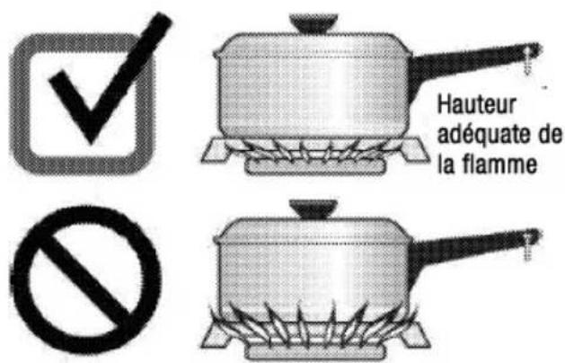 BLOMBERG CTG36500SS - Généralités sur la cuisson - 1