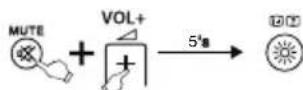 THOMSON ROC1117SON - Activare SIMPLE Mode - 1