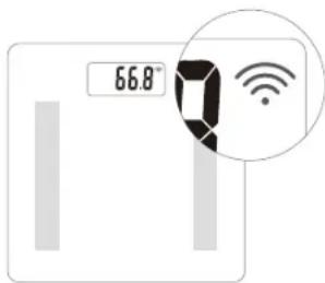 THOMSON IF1944B - Installation des piles (non fournies) - 3