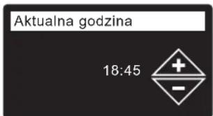 Ecowater eVOLUTION Compact 100 - POZIOM ZELAZA - 2