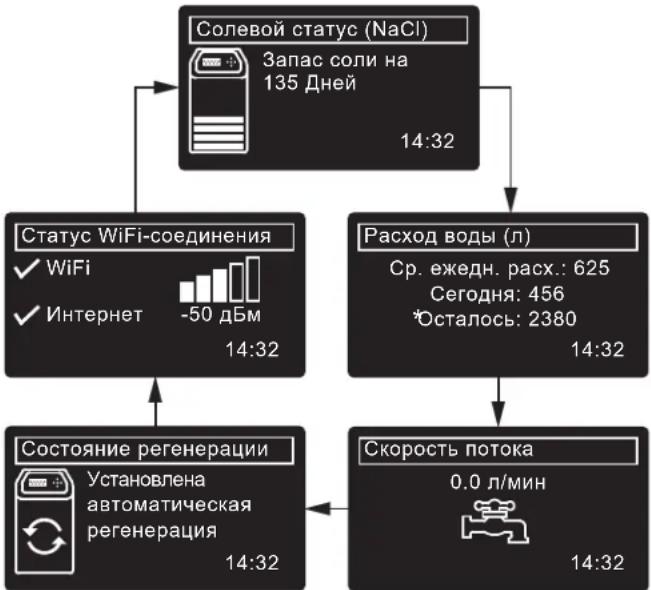 Ecowater eVOLUTION Boost 300 - ОБЫЧНАЯ ЭКСПЛУАТАЦИЯ / ОКНА СОСТОЯНИЯ - 1