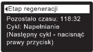 Ecowater eVOLUTION Boost 300 - REGENERACJA RĘCZNA - 3