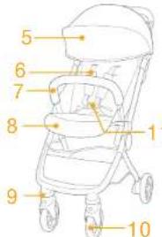 Joie Pact Lite DLX - Listedespieces - 3