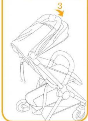 Joie Pact Lite DLX - IMPORTANT - KEEP THESE INSTRUCTIONS FOR FUTURE REFERENCE. Stroller Assembly - 31