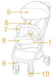 Joie Pact Lite DLX - Información del producto - 3