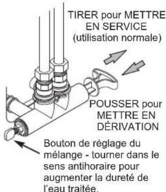 Ecowater eVOLUTION Power 600 - OPTIONS DE DÉRIVATION - 1