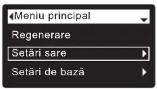 Ecowater eVOLUTION Power 600 - La modelul Power 600 cu vas de sare separat, trebuie sa introduceti manual valoarea nivelului de sare de fiecare data candid adaugati sare: - 1