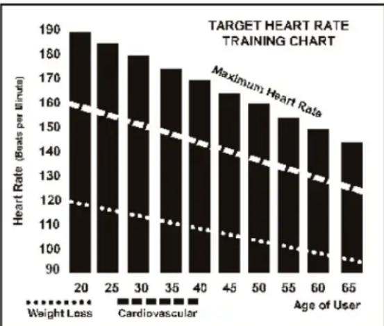 TUNTURI Platinum Upright - A word about Heart Rate: - 1