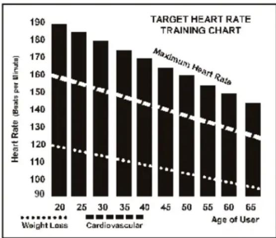TUNTURI Platinum Upright - Qualche parola sulla frequenza cardiaca: - 1