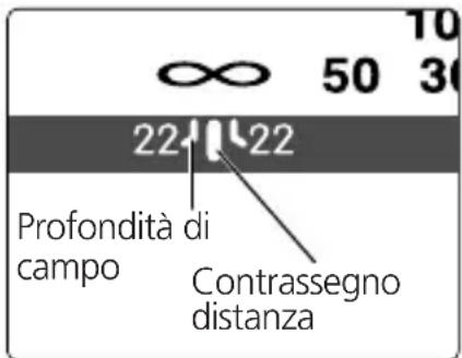 NIKON Nikkor AFS 600mm f4G ED VR - Profondità di campo - 2